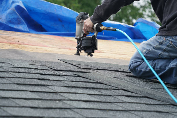 Roof Gutter Cleaning in West Van Lear, KY