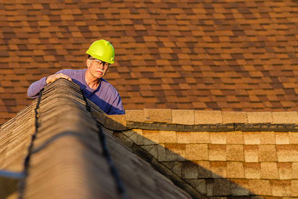 Best Roof Repair Services  in West Van Lear, KY